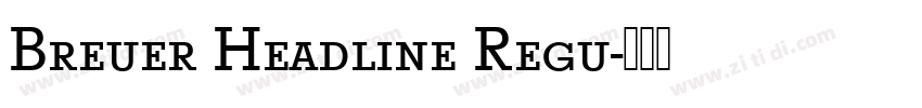 Breuer Headline Regu字体转换